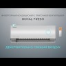 Royal Clima RCI-RF30HN сплит-система